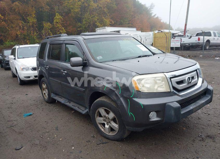 2011 Honda Pilot EX-L (VIN 5FNYF4H76BB012880) main photo