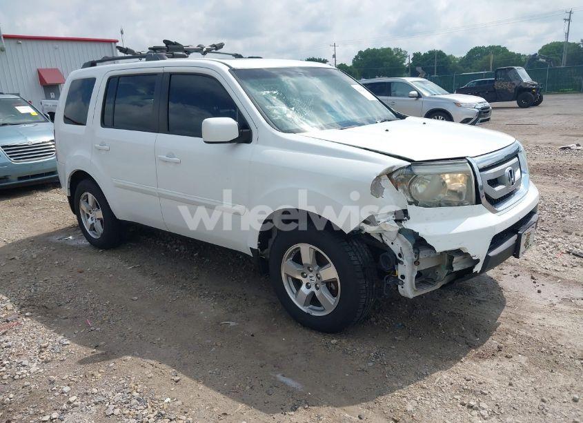 2011 Honda Pilot EX-L (VIN 5FNYF4H7XBB059426) main photo