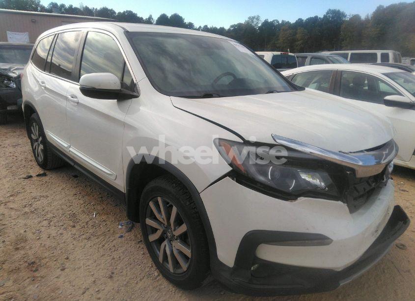 2019 Honda Pilot EX-L (VIN 5FNYF5H41KB009302) main photo