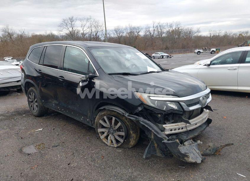 2019 Honda Pilot EX-L (VIN 5FNYF5H52KB016445) main photo