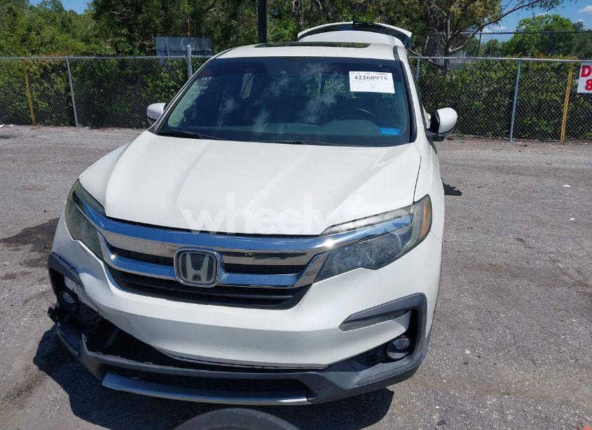 Photo 13 of 2019 Honda Pilot EX-L (VIN 5FNYF5H53KB012596)