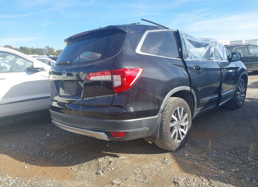 2019 Honda Pilot EX-L (VIN 5FNYF5H57KB015274) main photo