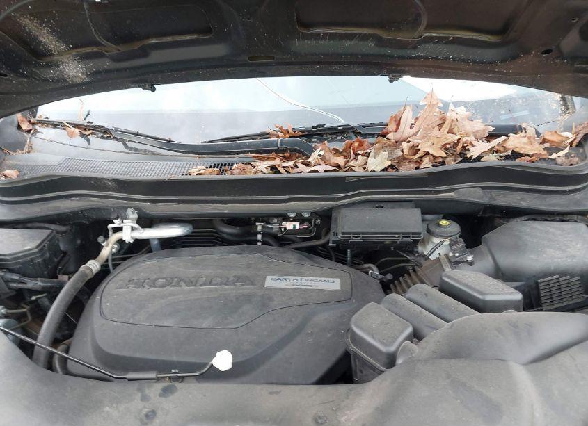 Photo 10 of 2019 Honda Pilot EX-L (VIN 5FNYF5H57KB015274)