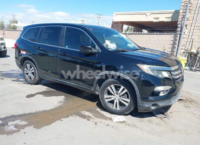 2016 Honda Pilot EX-L (VIN 5FNYF5H69GB043237) main photo