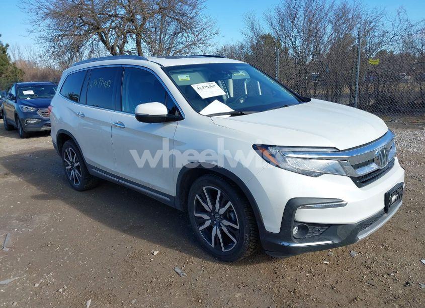 2019 Honda Pilot ELITE (VIN 5FNYF6H07KB060242) main photo