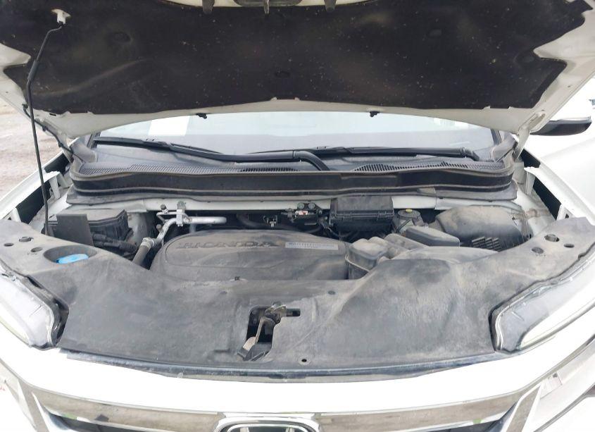 Photo 10 of 2019 Honda Pilot ELITE (VIN 5FNYF6H09KB026688)