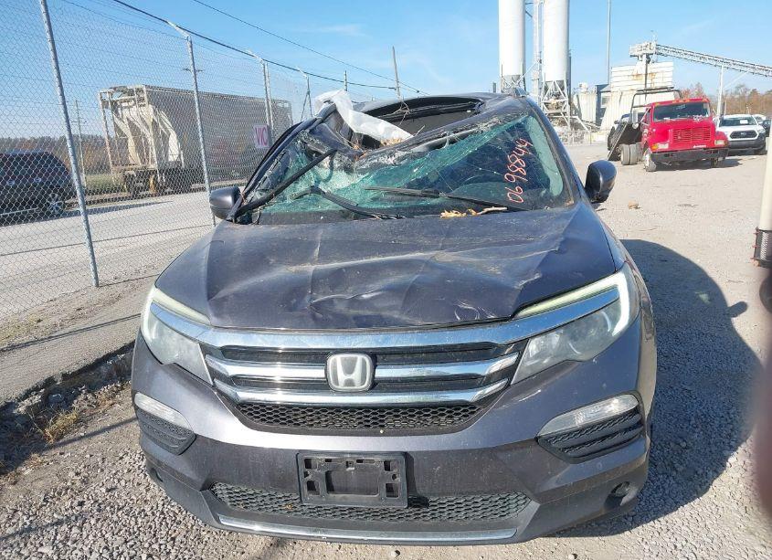 Photo 12 of 2016 Honda Pilot ELITE (VIN 5FNYF6H0XGB038646)