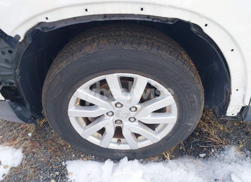 Photo 19 of 2019 Honda Pilot LX (VIN 5FNYF6H14KB037042)