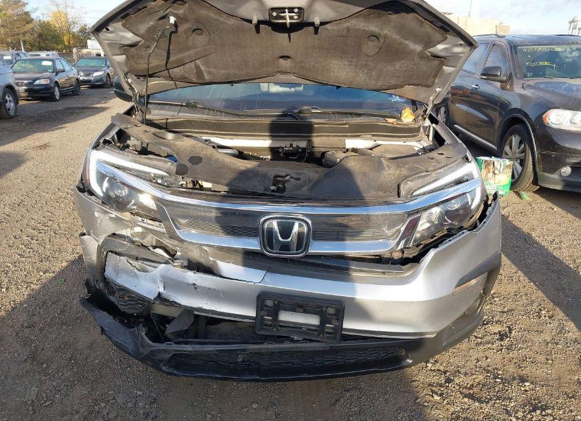 Photo 10 of 2019 Honda Pilot LX (VIN 5FNYF6H15KB026552)