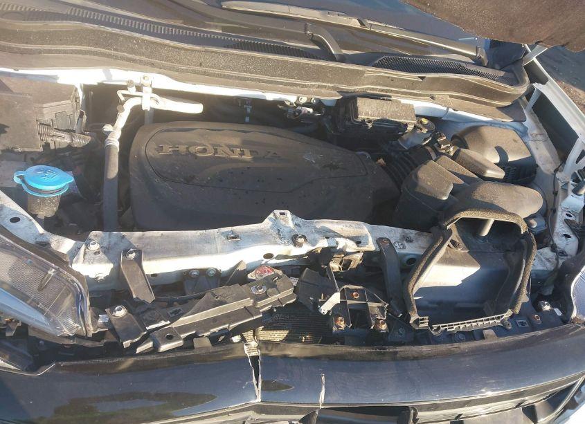 Photo 10 of 2021 Honda Pilot AWD SPECIAL EDITION (VIN 5FNYF6H25MB019502)