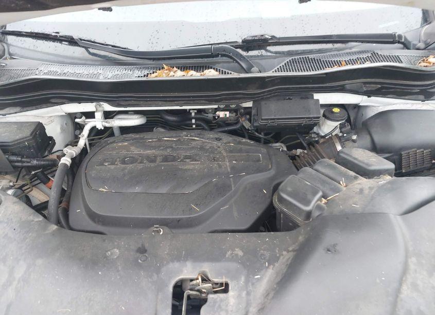 Photo 10 of 2021 Honda Pilot AWD SPECIAL EDITION (VIN 5FNYF6H28MB012186)