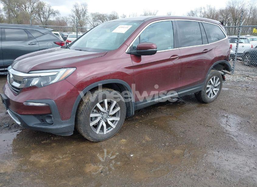 Photo 2 of 2021 Honda Pilot AWD EX (VIN 5FNYF6H33MB080131)