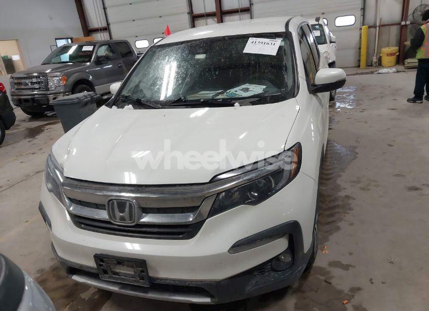 Photo 12 of 2019 Honda Pilot EX (VIN 5FNYF6H34KB062752)