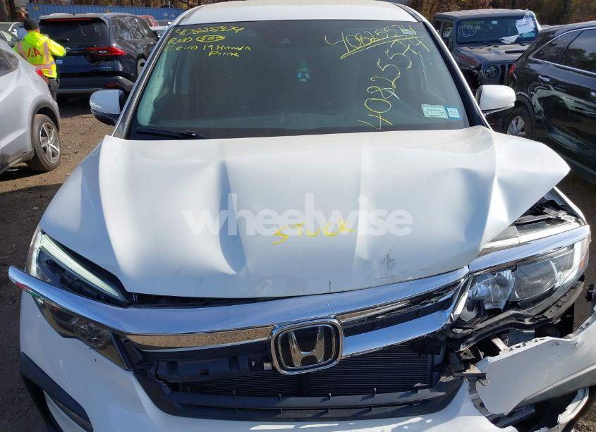 Photo 10 of 2019 Honda Pilot EX (VIN 5FNYF6H38KB086164)