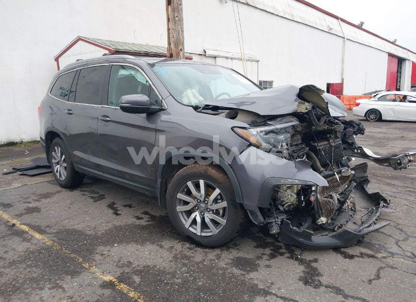2019 Honda Pilot EX-L (VIN 5FNYF6H44KB003290) main photo