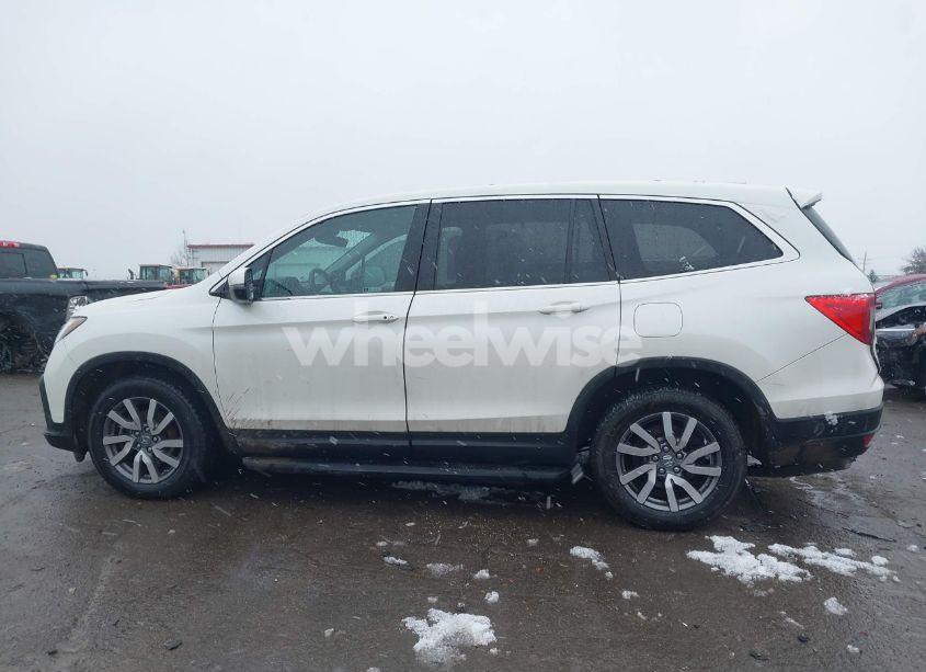 Photo 14 of 2019 Honda Pilot EX-L (VIN 5FNYF6H48KB041864)