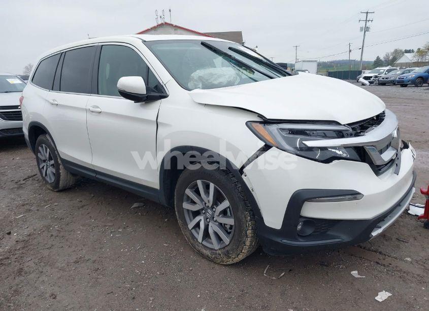 2019 Honda Pilot EX-L (VIN 5FNYF6H48KB079031) main photo