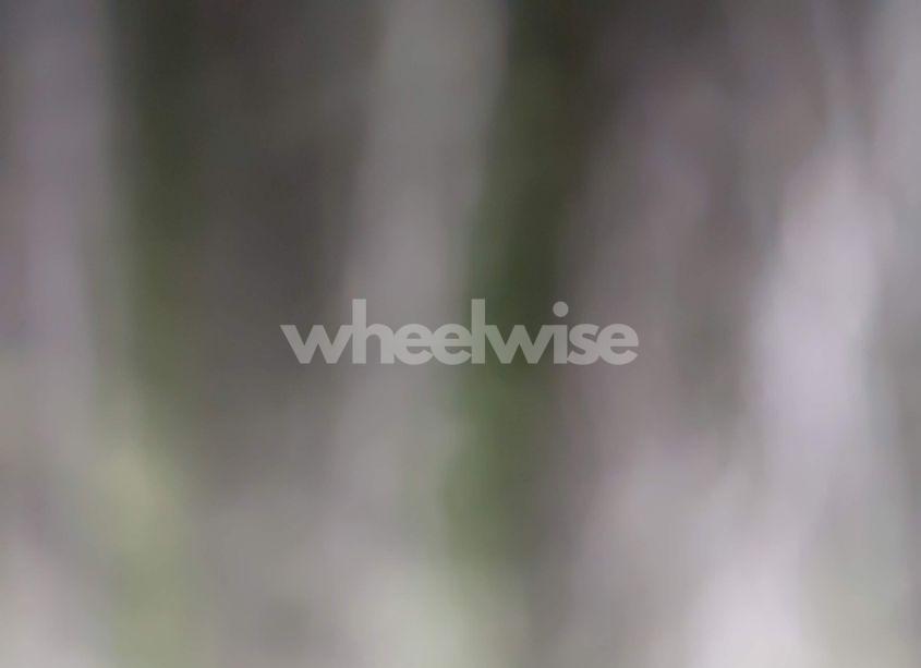 Photo 13 of 2016 Honda Pilot EX-L (VIN 5FNYF6H50GB105282)