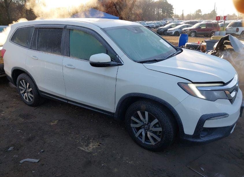 2019 Honda Pilot EX-L (VIN 5FNYF6H50KB066010) main photo