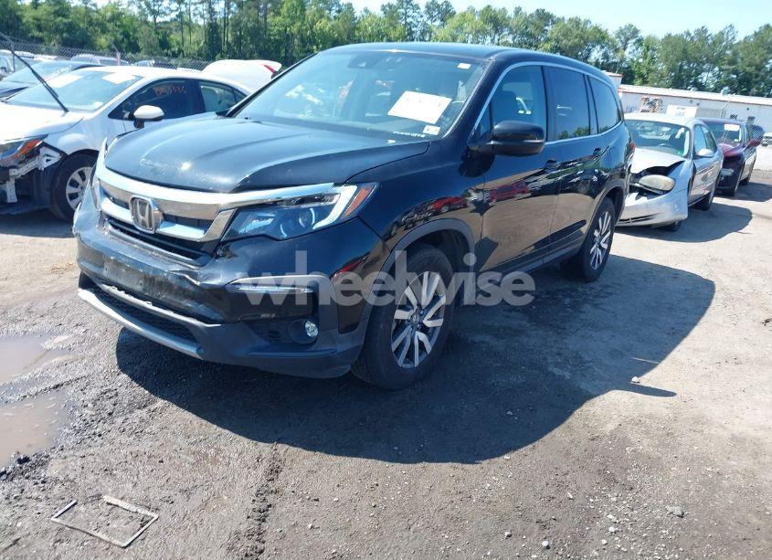 Photo 2 of 2019 Honda Pilot EX-L (VIN 5FNYF6H51KB025076)