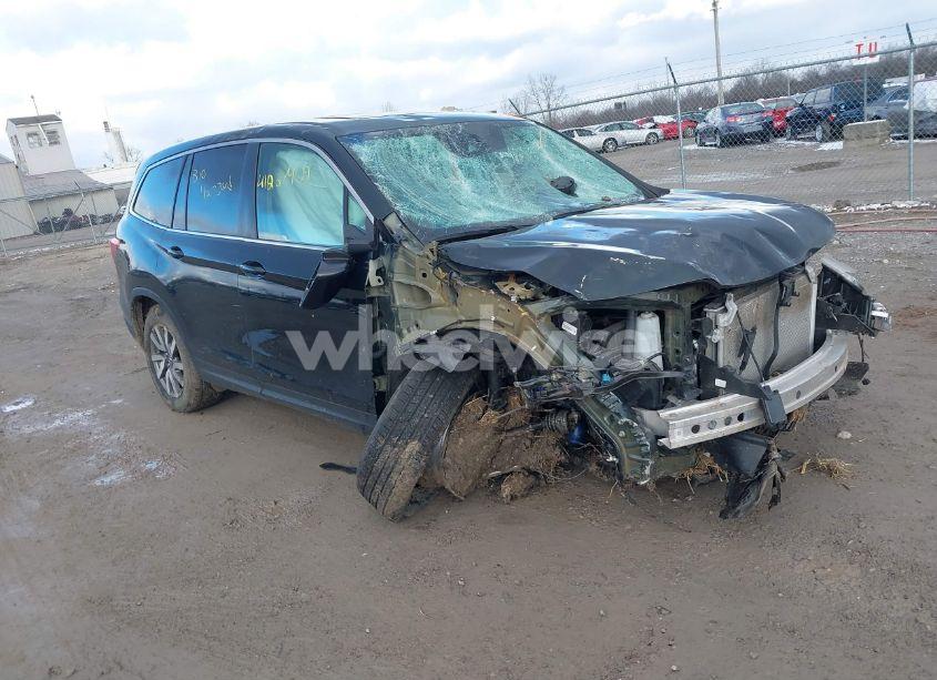 2021 Honda Pilot AWD EX-L (VIN 5FNYF6H51MB004537) main photo