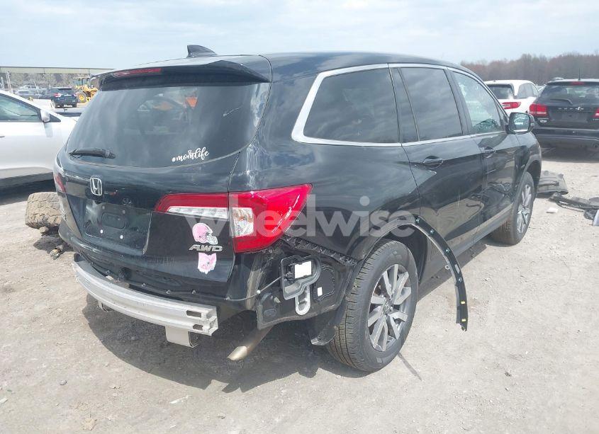 Photo 4 of 2021 Honda Pilot AWD EX-L (VIN 5FNYF6H51MB069839)