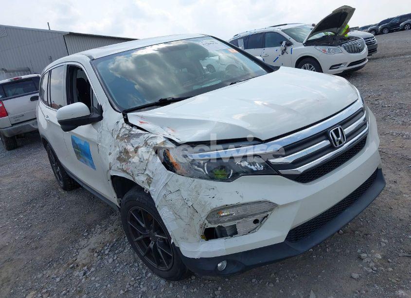 2018 Honda Pilot EX-L (VIN 5FNYF6H52JB063429) main photo
