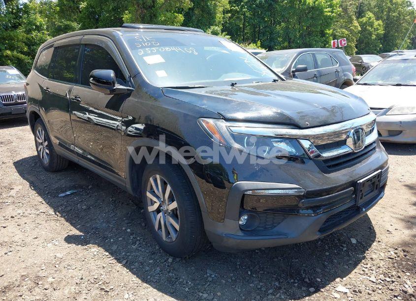 2019 Honda Pilot EX-L (VIN 5FNYF6H52KB006469) main photo