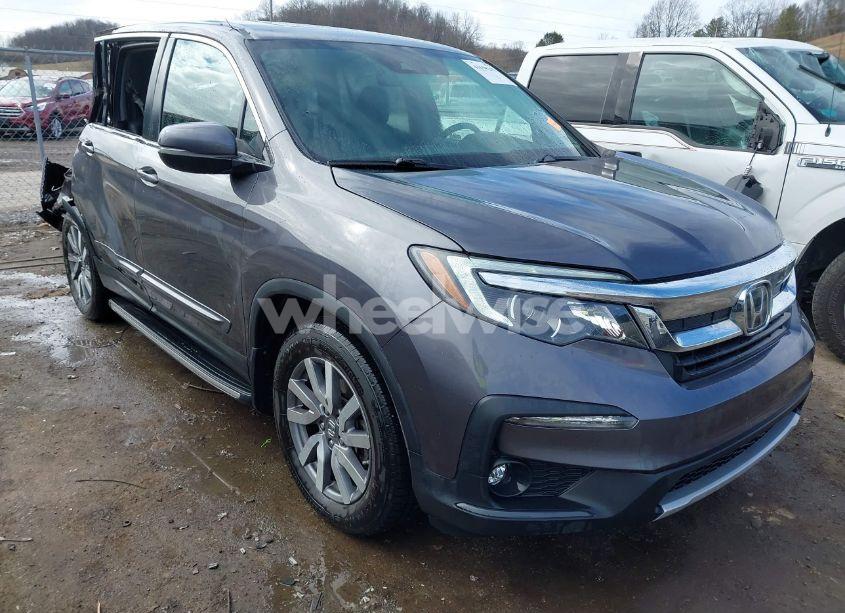 2019 Honda Pilot EX-L (VIN 5FNYF6H52KB013373) main photo