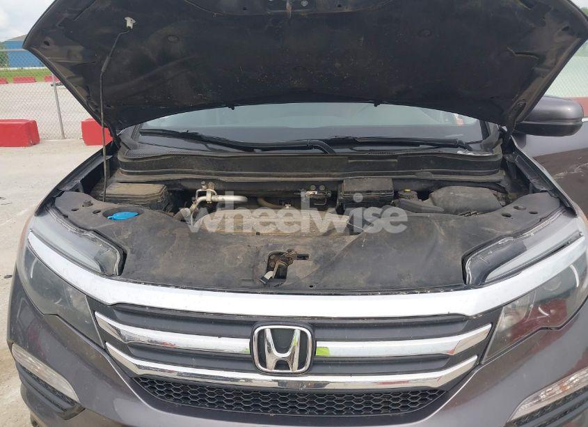 Photo 10 of 2017 Honda Pilot EX-L (VIN 5FNYF6H53HB038128)