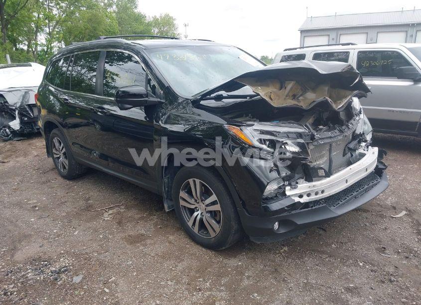 2018 Honda Pilot EX-L (VIN 5FNYF6H53JB009282) main photo