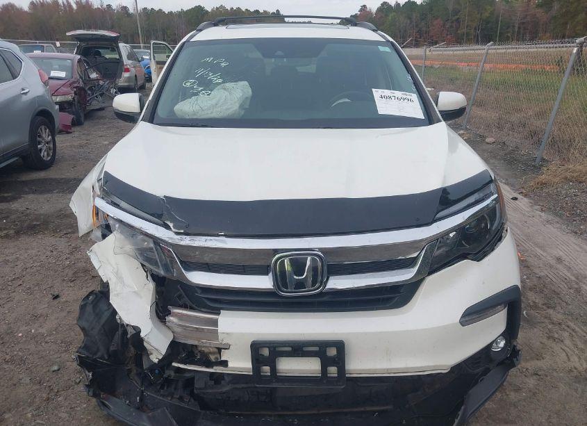 Photo 12 of 2019 Honda Pilot EX-L (VIN 5FNYF6H53KB016265)