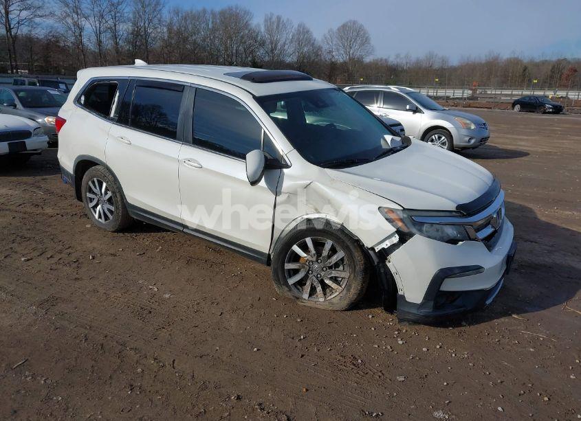 2019 Honda Pilot EX-L (VIN 5FNYF6H53KB044339) main photo