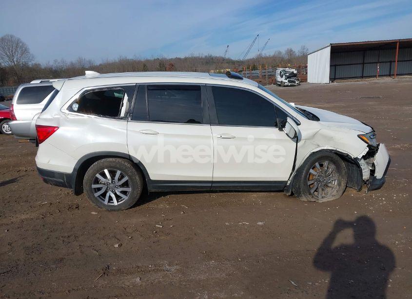 Photo 13 of 2019 Honda Pilot EX-L (VIN 5FNYF6H53KB044339)