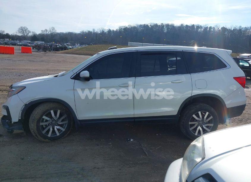 Photo 14 of 2019 Honda Pilot EX-L (VIN 5FNYF6H53KB044339)