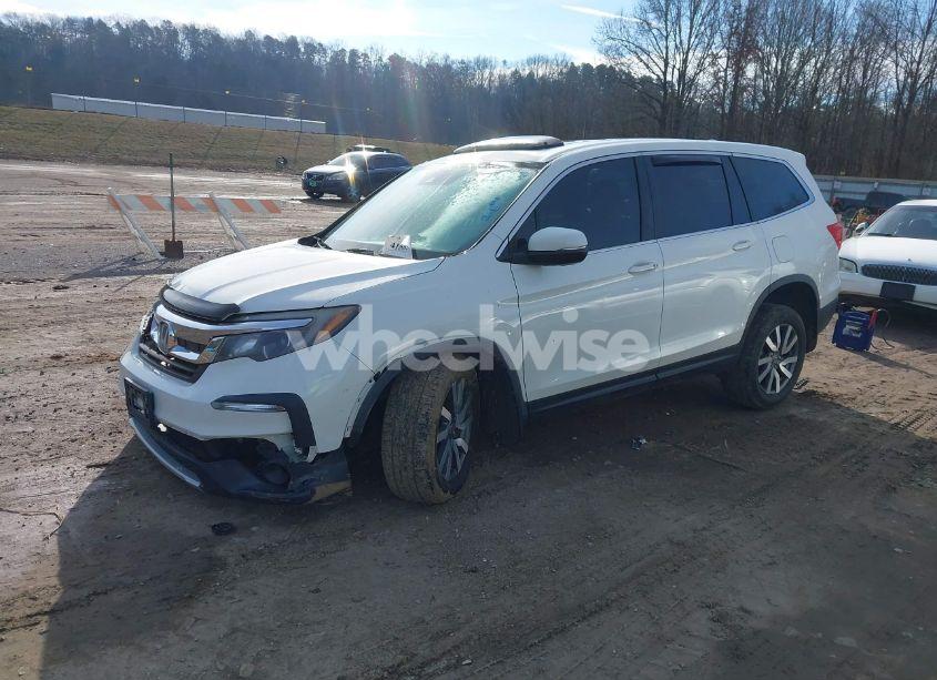 Photo 2 of 2019 Honda Pilot EX-L (VIN 5FNYF6H53KB044339)