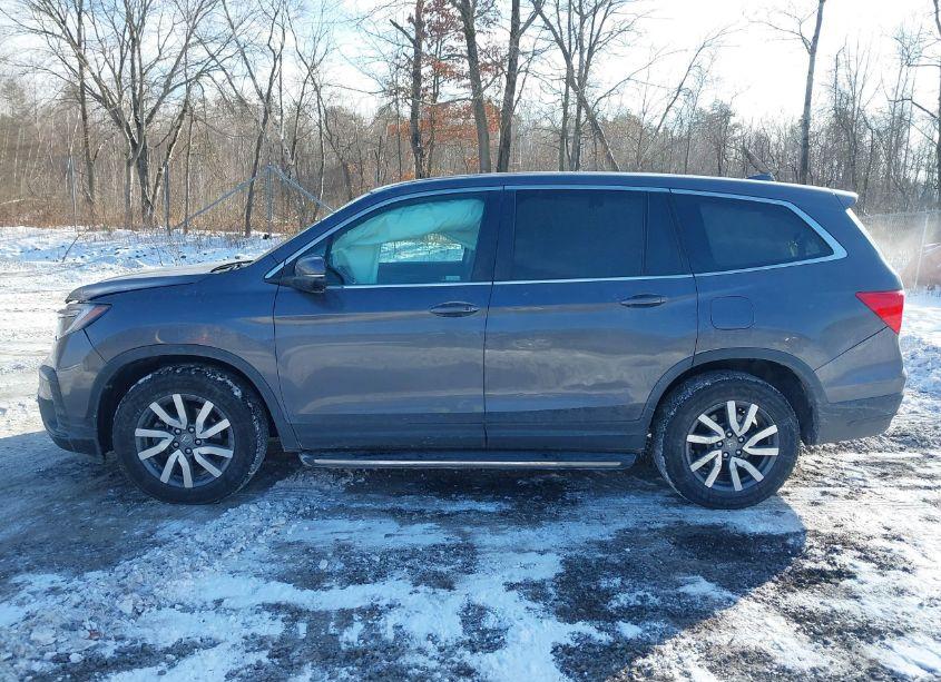 Photo 14 of 2019 Honda Pilot EX-L (VIN 5FNYF6H53KB070259)