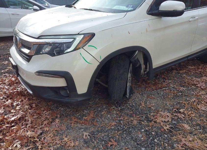 Photo 6 of 2019 Honda Pilot EX-L (VIN 5FNYF6H54KB045774)