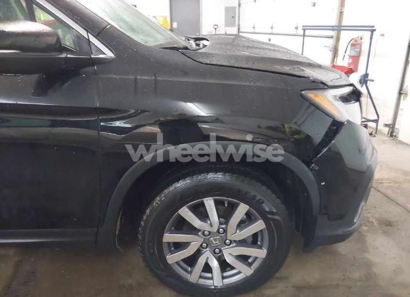 Photo 19 of 2019 Honda Pilot EX-L (VIN 5FNYF6H55KB083790)