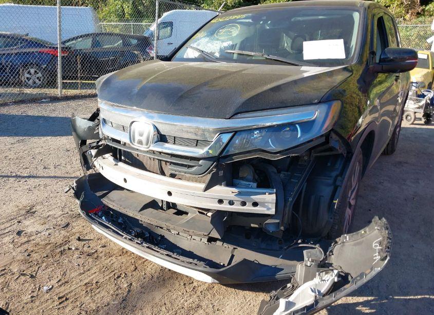 Photo 6 of 2021 Honda Pilot AWD EX-L (VIN 5FNYF6H56MB016568)