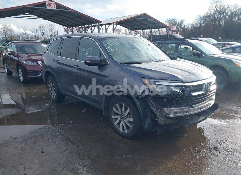2019 Honda Pilot EX-L (VIN 5FNYF6H57KB020335) main photo