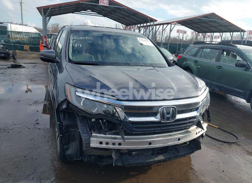 Photo 12 of 2019 Honda Pilot EX-L (VIN 5FNYF6H57KB020335)