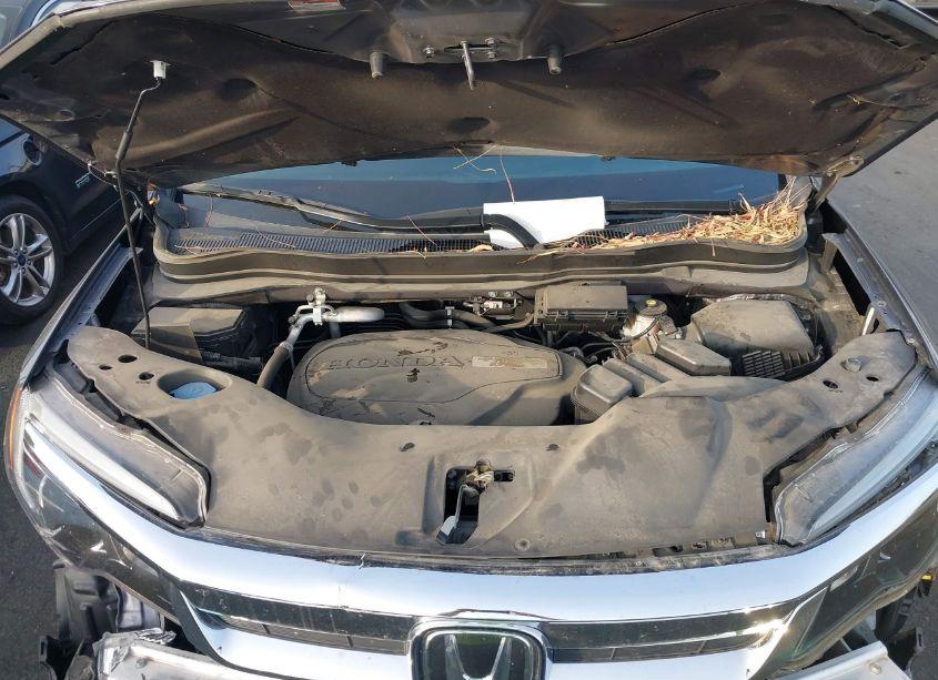 Photo 10 of 2020 Honda Pilot AWD EX-L (VIN 5FNYF6H57LB037993)