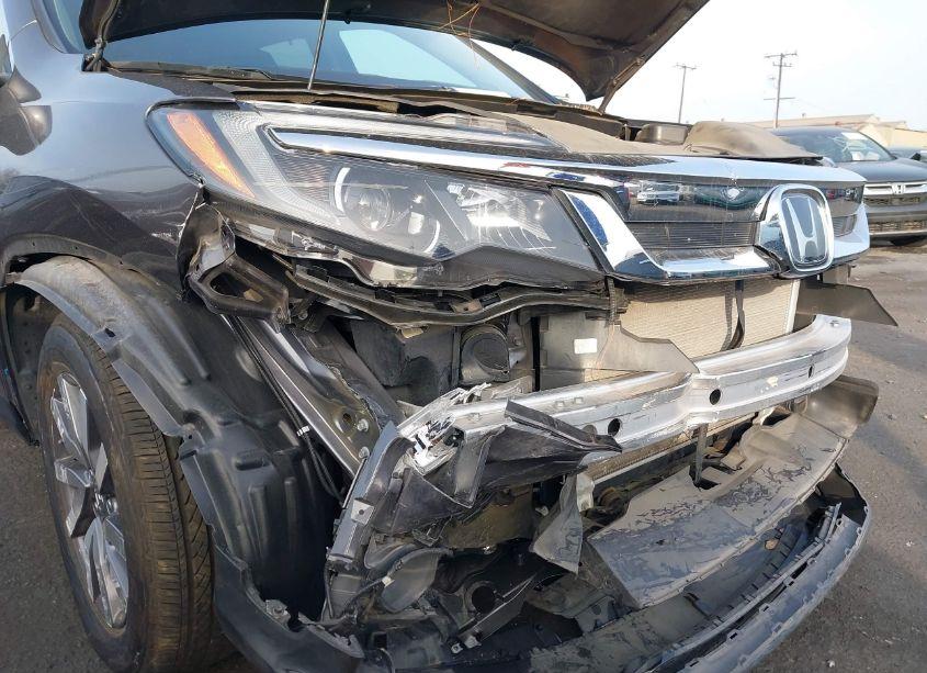 Photo 6 of 2020 Honda Pilot AWD EX-L (VIN 5FNYF6H57LB037993)