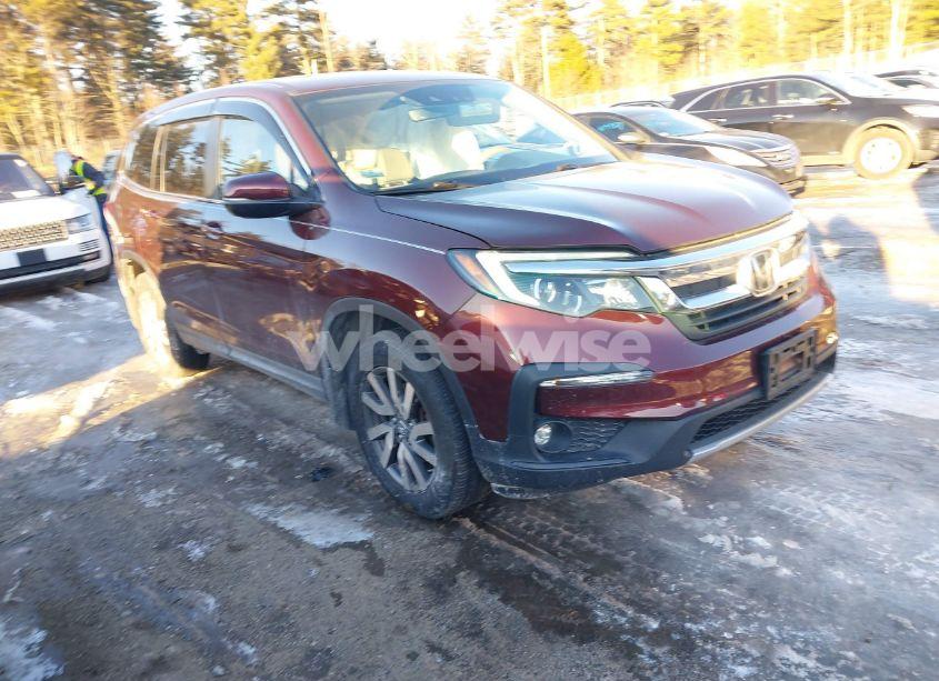 2019 Honda Pilot EX-L (VIN 5FNYF6H58KB051447) main photo