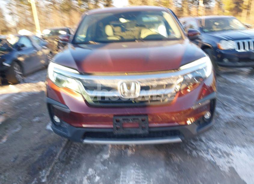 Photo 13 of 2019 Honda Pilot EX-L (VIN 5FNYF6H58KB051447)