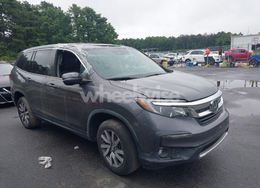 2019 Honda Pilot EX-L (VIN 5FNYF6H58KB053845) main photo