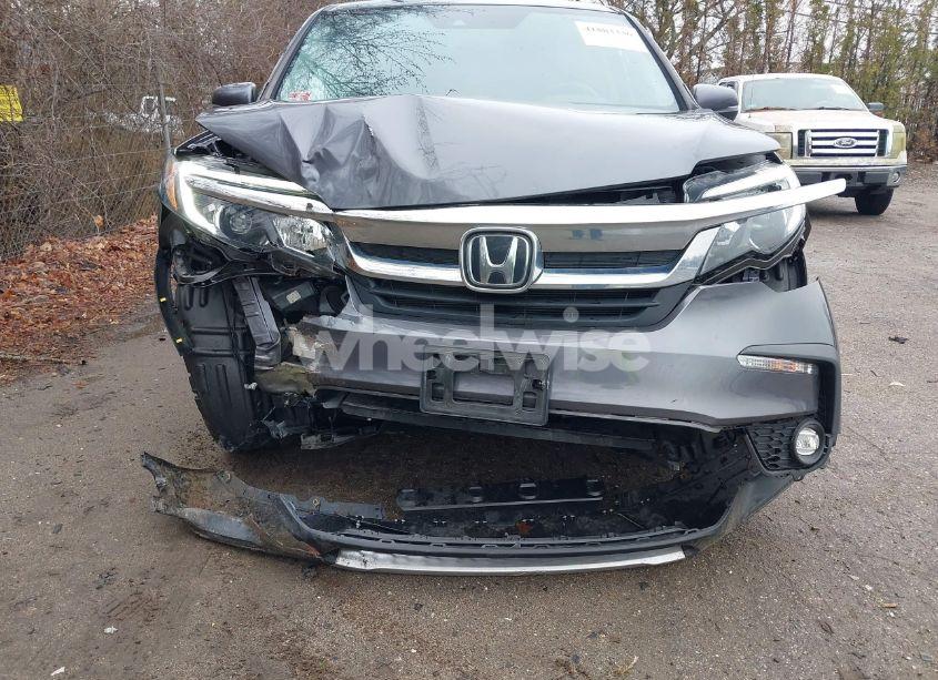 Photo 6 of 2021 Honda Pilot AWD EX-L (VIN 5FNYF6H58MB021982)