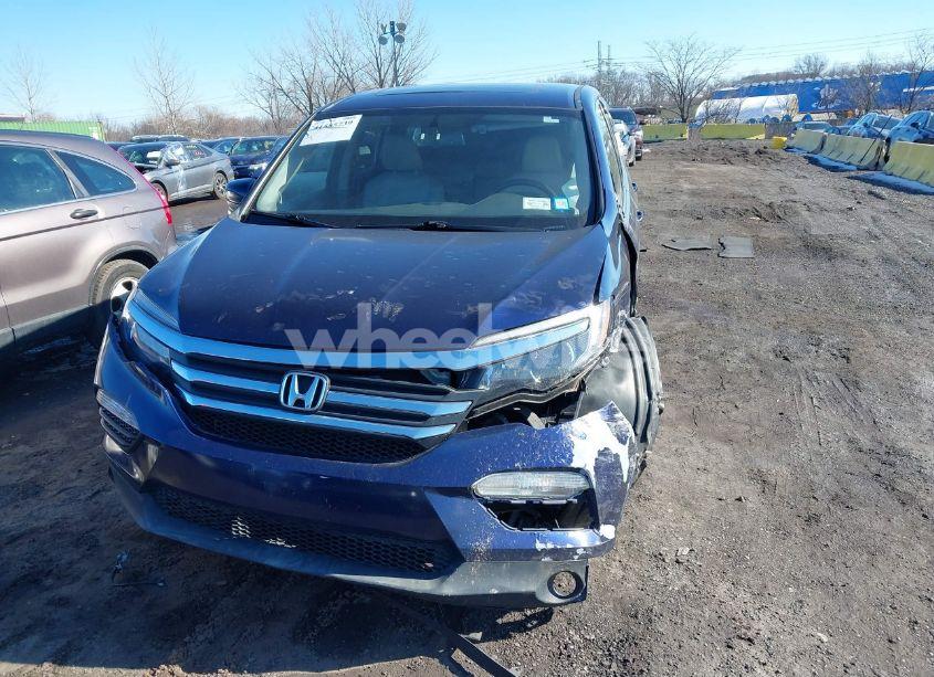 Photo 12 of 2017 Honda Pilot EX-L (VIN 5FNYF6H59HB023052)