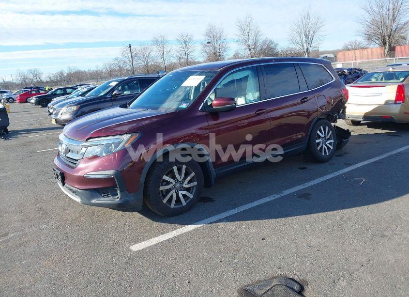 Photo 2 of 2019 Honda Pilot EX-L (VIN 5FNYF6H59KB018070)